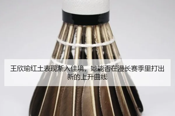 王欣瑜红土表现渐入佳境，她能否在漫长赛季里打出新的上升曲线