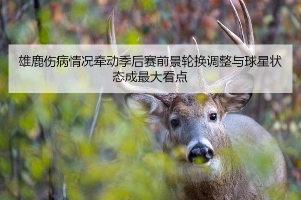 雄鹿伤病情况牵动季后赛前景轮换调整与球星状态成最大看点